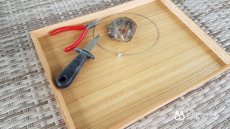 有機養殖HKOMD 全港唯一西貢珍珠導賞團-珍珠首飾工作坊 15