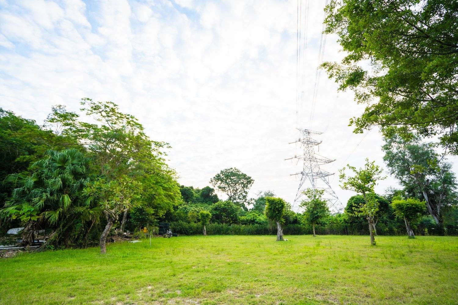 山林里農莊Forest Pathway | 錦田露營·寵物友善營區·巴士露營體驗 山林里農莊 (自攜營帳/租用營帳) 14