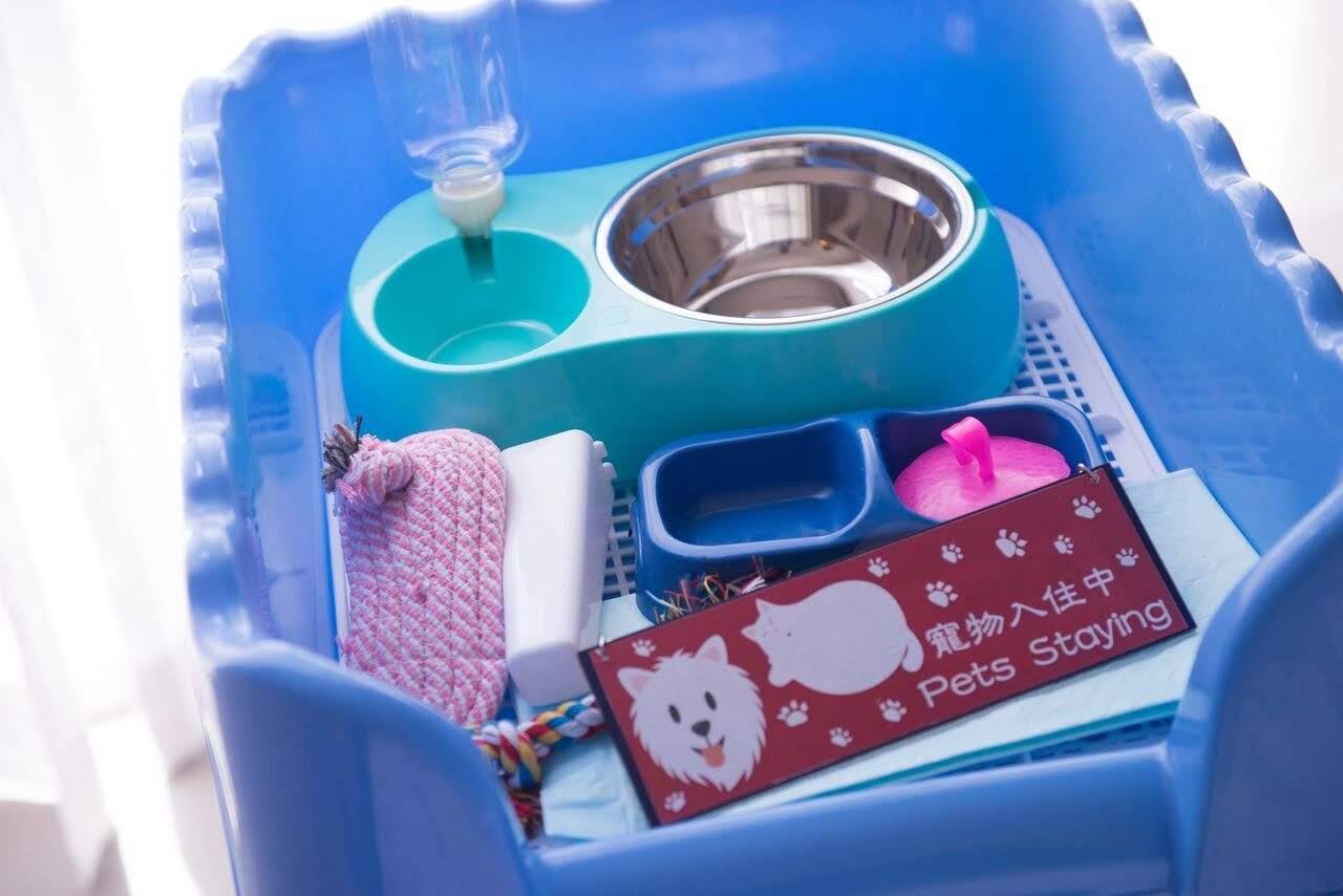 銀鑛灣渡假酒店 - 寵物住宿餐飲套票 & 梅窩海邊酒店 【 寵物住宿連餐飲套票】 雙人寵物客房 + 豐富雙人早餐 + 晚餐套餐 + 寵物小食 + 寵物晚餐｜銀鑛灣渡假酒店 3