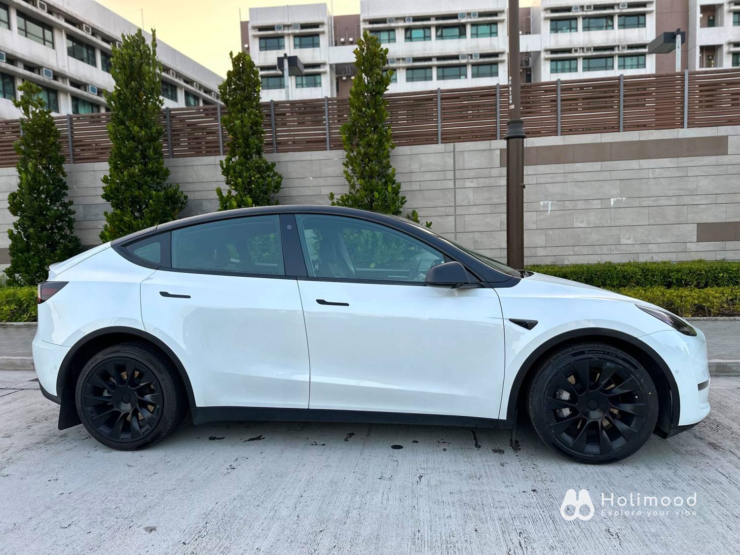 All car rental Tesla Model 3 Highland/ Model Y Standard- 日租/週租 8