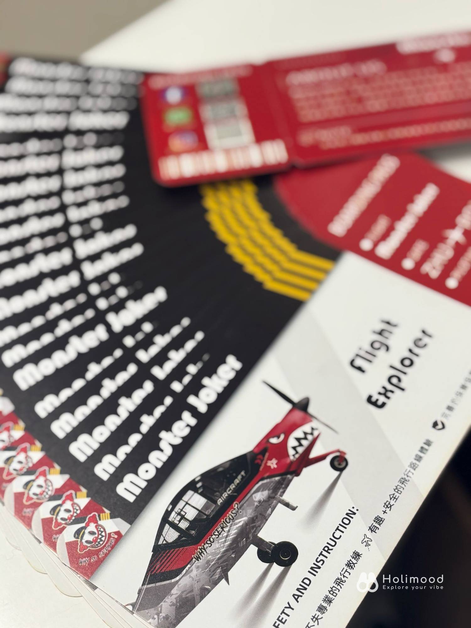 Monster Joker 【空中體驗遊】珠海飛機飛行體驗+飛行證書 19