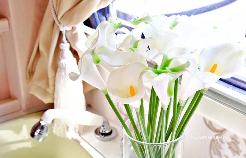 Youngs Holiday 悠揚假期 - 潛水旅遊、自駕遊、日本露營車 【東京】六人日本露營車24小時自駕遊租用體驗(JTS-Rosso) 5