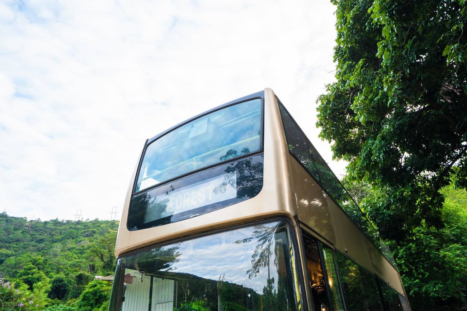 山林里農莊Forest Pathway | 錦田露營·寵物友善營區·巴士露營體驗 【山林里農莊巴士露營體驗】山林一泊兩食營 18