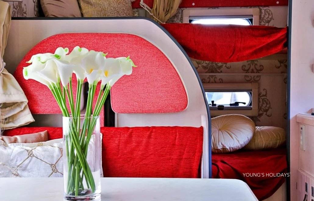 Youngs Holiday 悠揚假期 - 潛水旅遊、自駕遊、日本露營車 【東京】六人日本露營車24小時自駕遊租用體驗(JTS-Rosso) 4