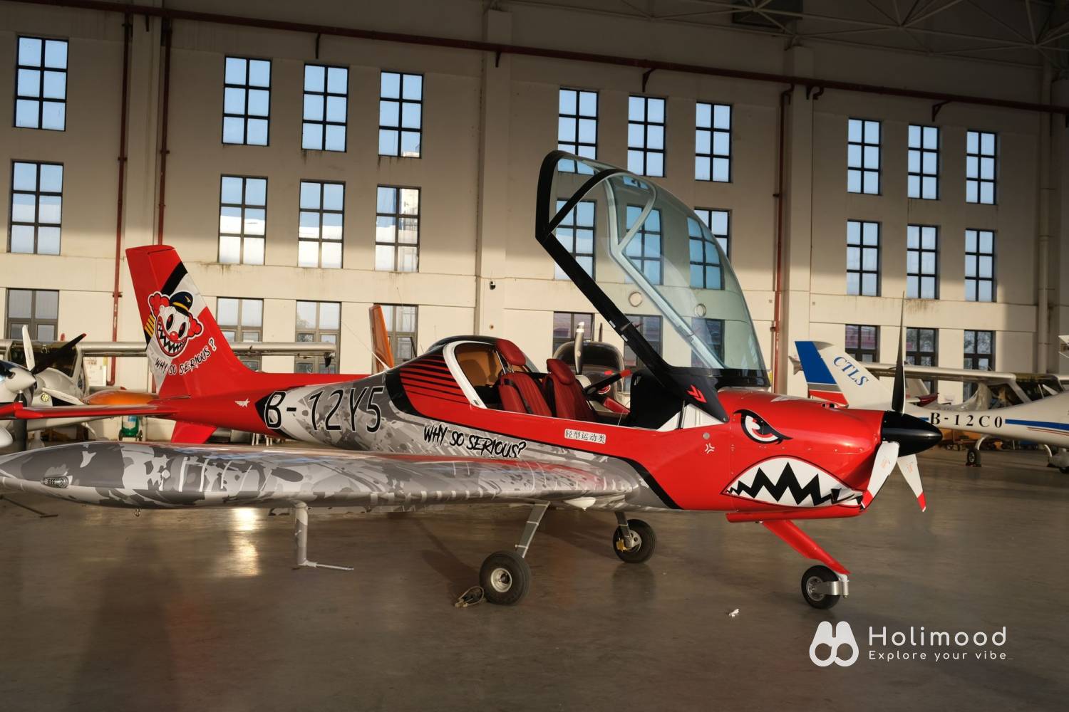 Monster Joker 【空中體驗遊】珠海飛機飛行體驗+飛行證書 26