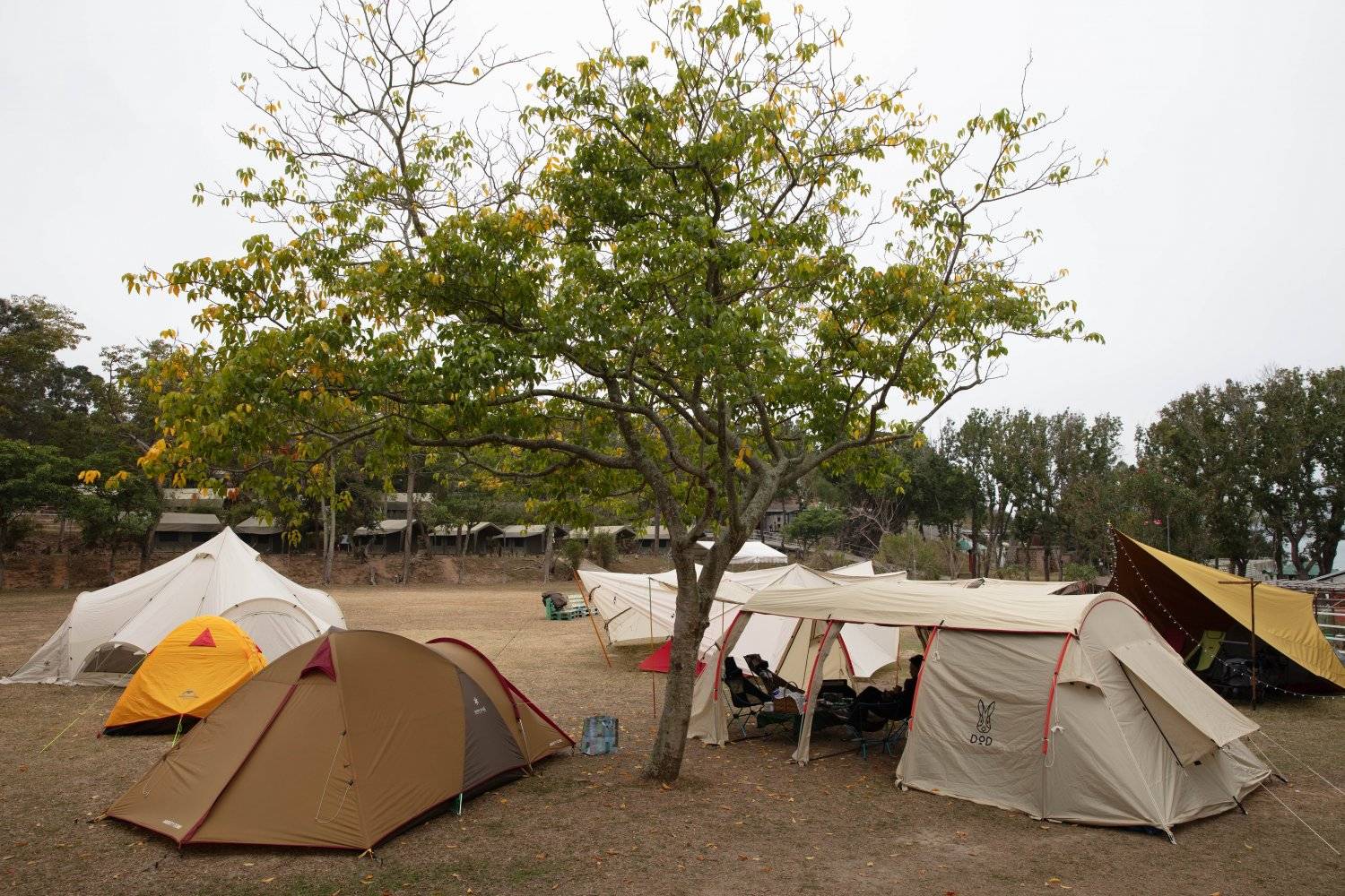 長洲西園露營歷奇園地 - 四大主題營區、豪華露營體驗、專業歷奇活動 【悠閒露營區】自攜營帳野營樂 (4人)｜長洲西園 4