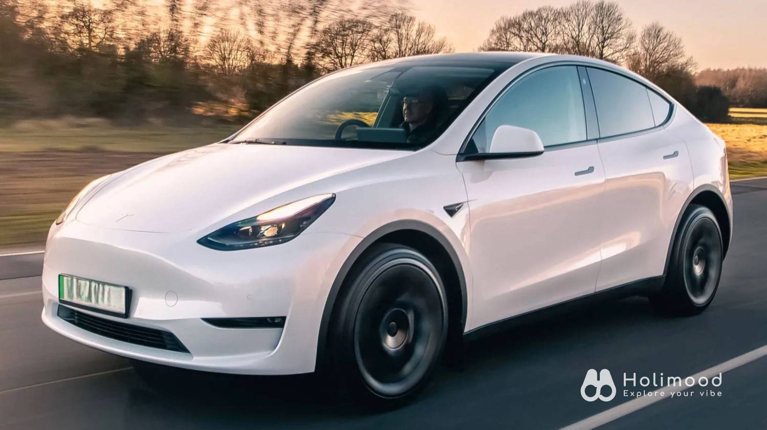 All car rental Tesla Model 3 Highland/ Model Y Standard- 日租/週租 6