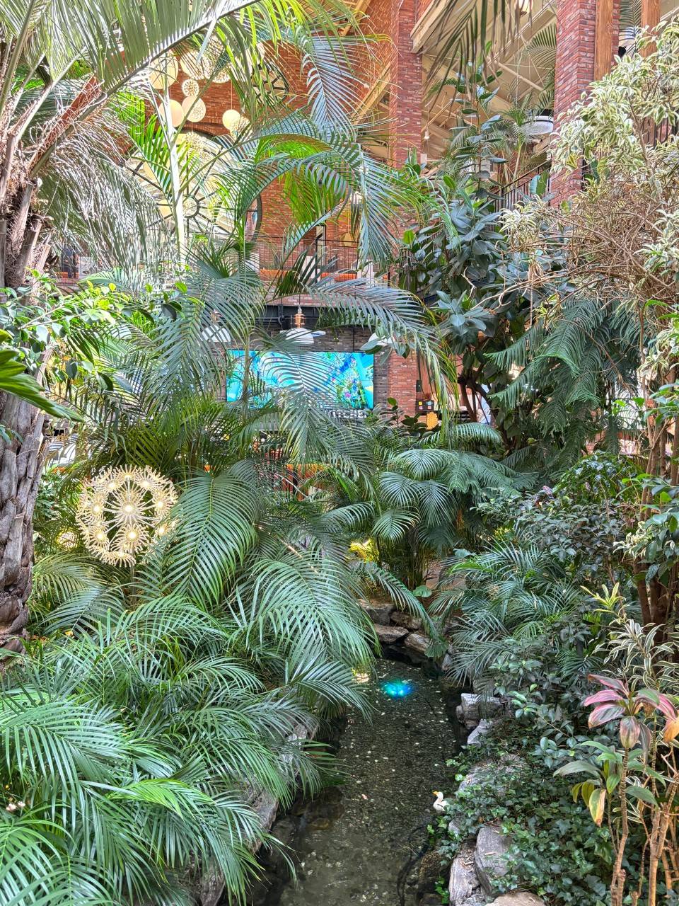 星程旅遊獨家優惠｜日本、韓國、泰國  - 活動門票/套票/一天團 (團號:CH-01) 2024 美食推廣 A 由早玩到晚美食一天團 10