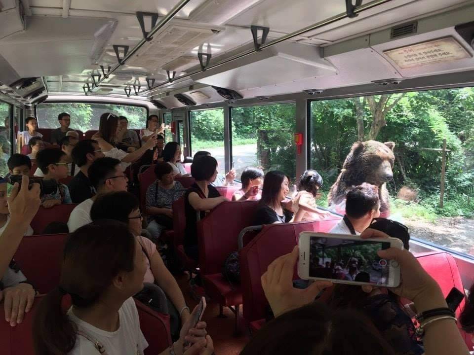 星程旅遊獨家優惠｜日本、韓國、泰國  - 活動門票/套票/一天團 (團號:EV-01)  EVERLAND 愛寶樂園 一天團 14