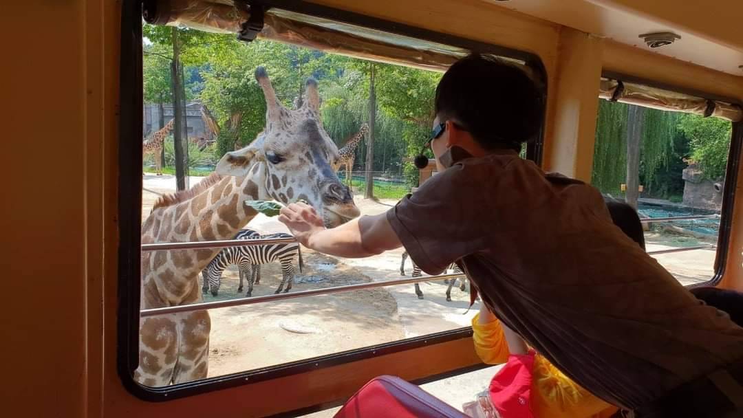 星程旅遊獨家優惠｜日本、韓國、泰國  - 活動門票/套票/一天團 (團號:EV-01)  EVERLAND 愛寶樂園 一天團 8