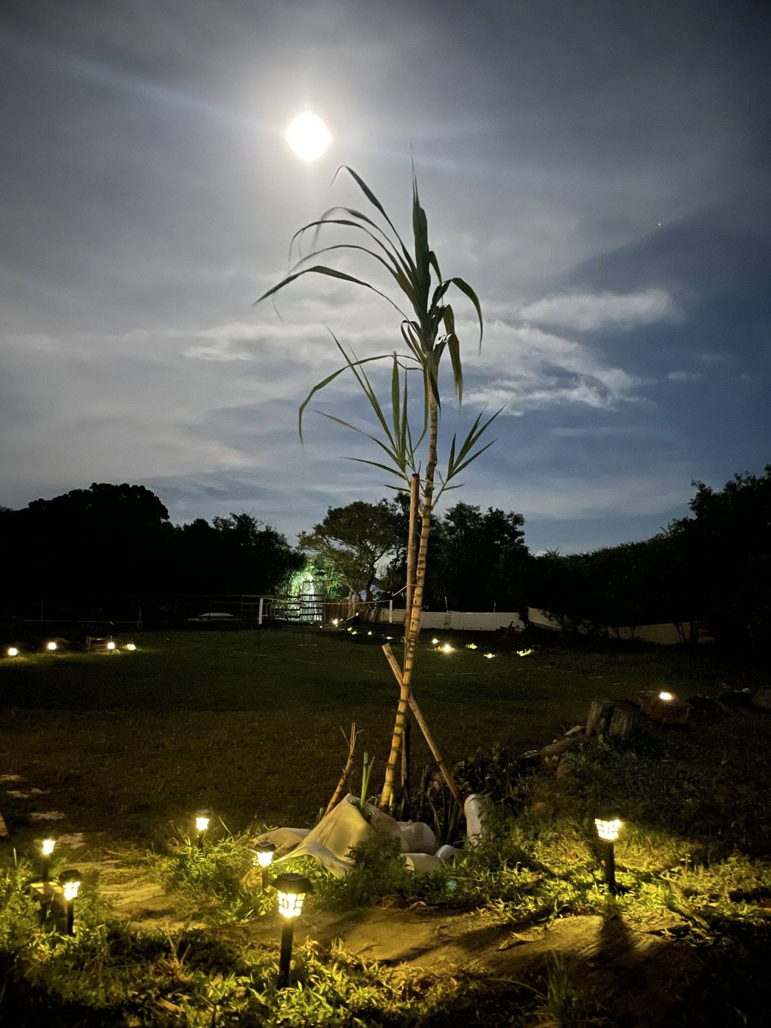 My Seaside Park 長沙海邊民園 - 2025全新港版夏威夷、豪華露營體驗 自攜營帳紮營趣套票【直達全港最長沙灘】My Seaside Park 24