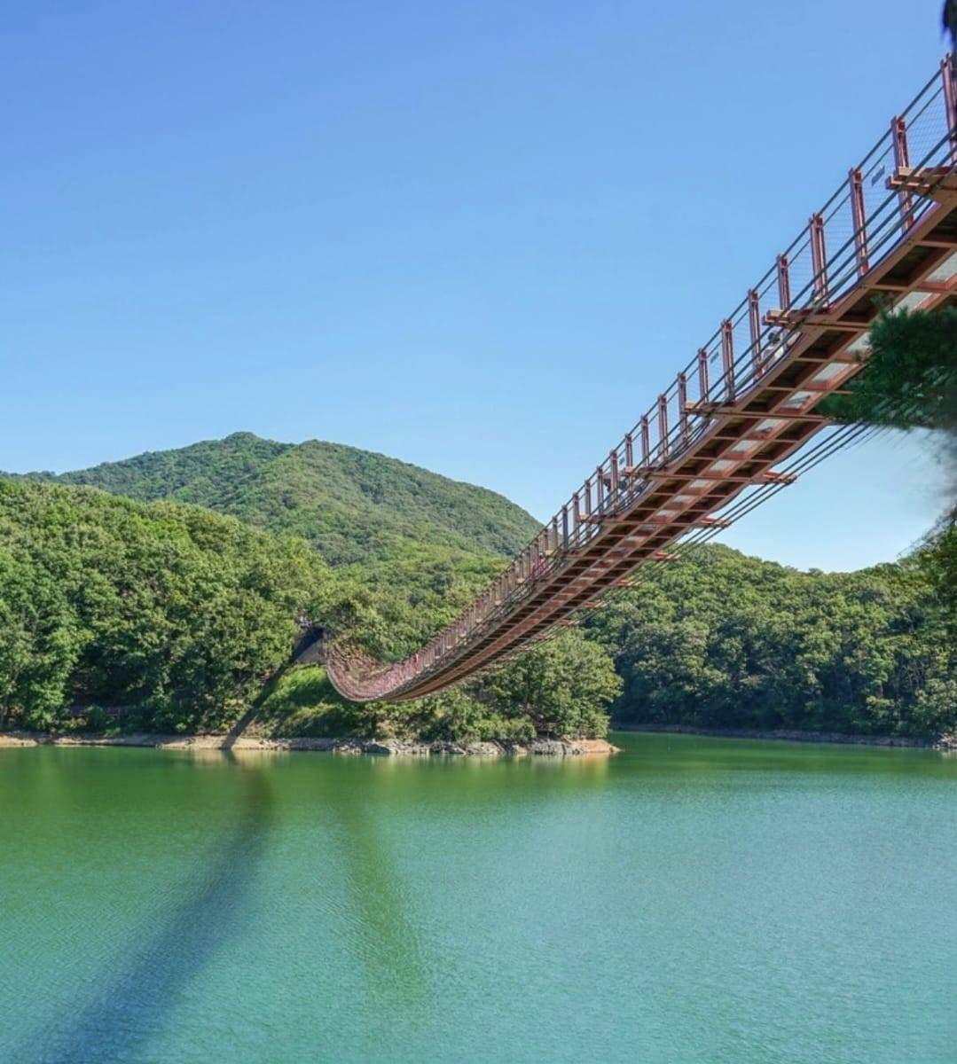 星程旅遊獨家優惠｜日本、韓國、泰國  - 活動門票/套票/一天團 (團號:CH-01) 2024 美食推廣 A 由早玩到晚美食一天團 1