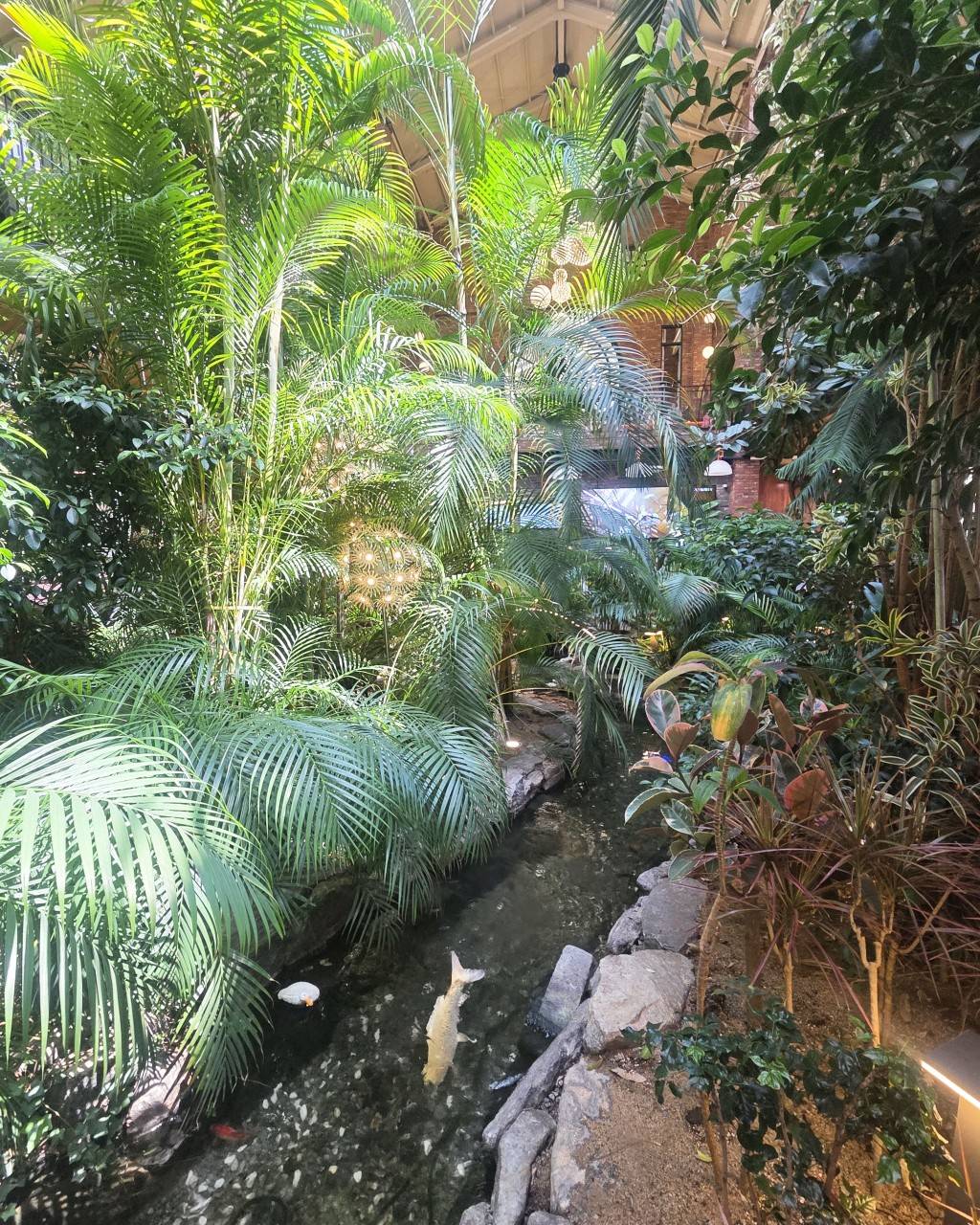 星程旅遊獨家優惠｜日本、韓國、泰國  - 活動門票/套票/一天團 (團號:CH-01) 2024 美食推廣 A 由早玩到晚美食一天團 11