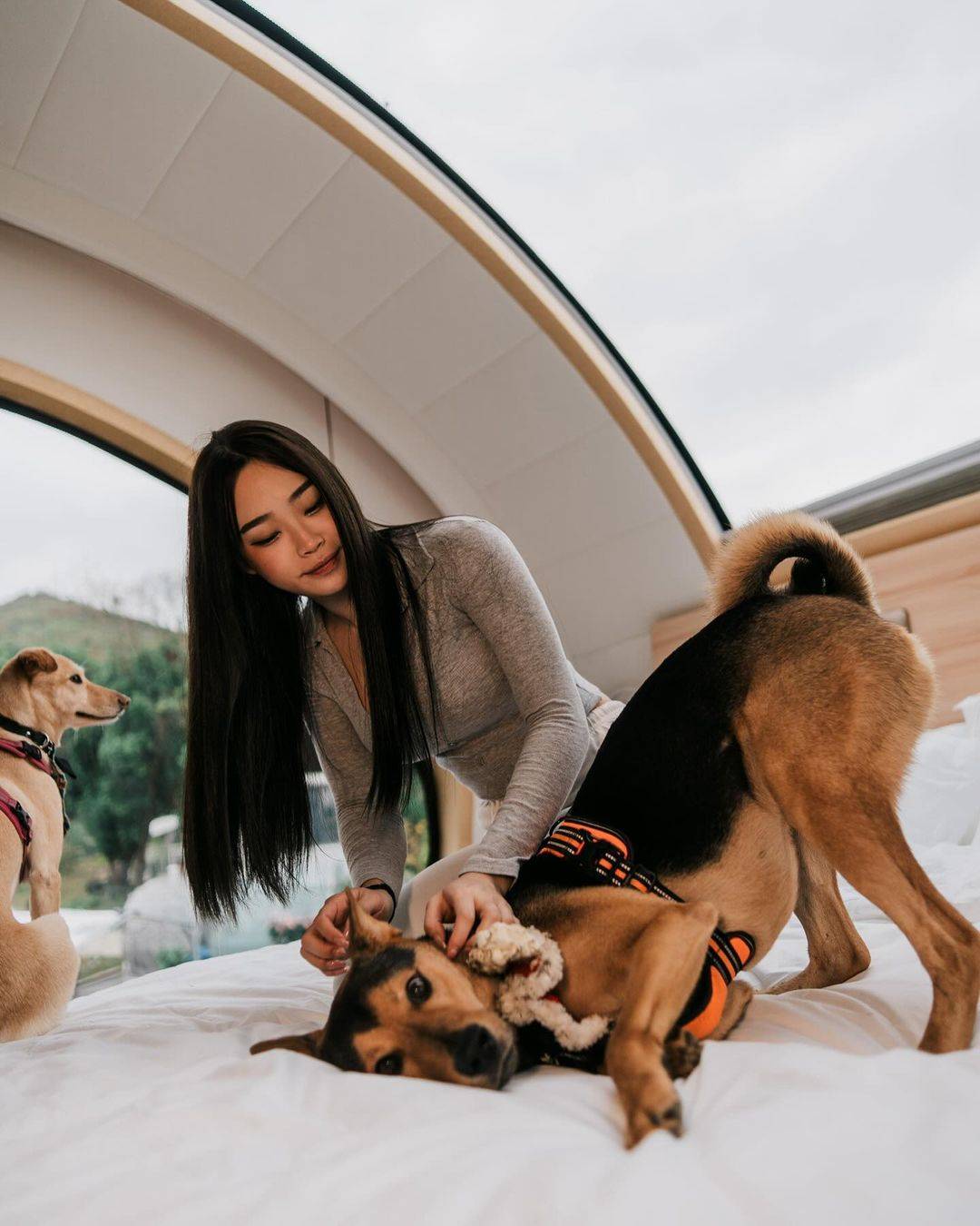 Park Nature Hillside 世外桃源 | 太空星艦露營車·蓮麻坑豪華營地 【寵物友善】🐶 星野露營車 < 2-4人 > 7