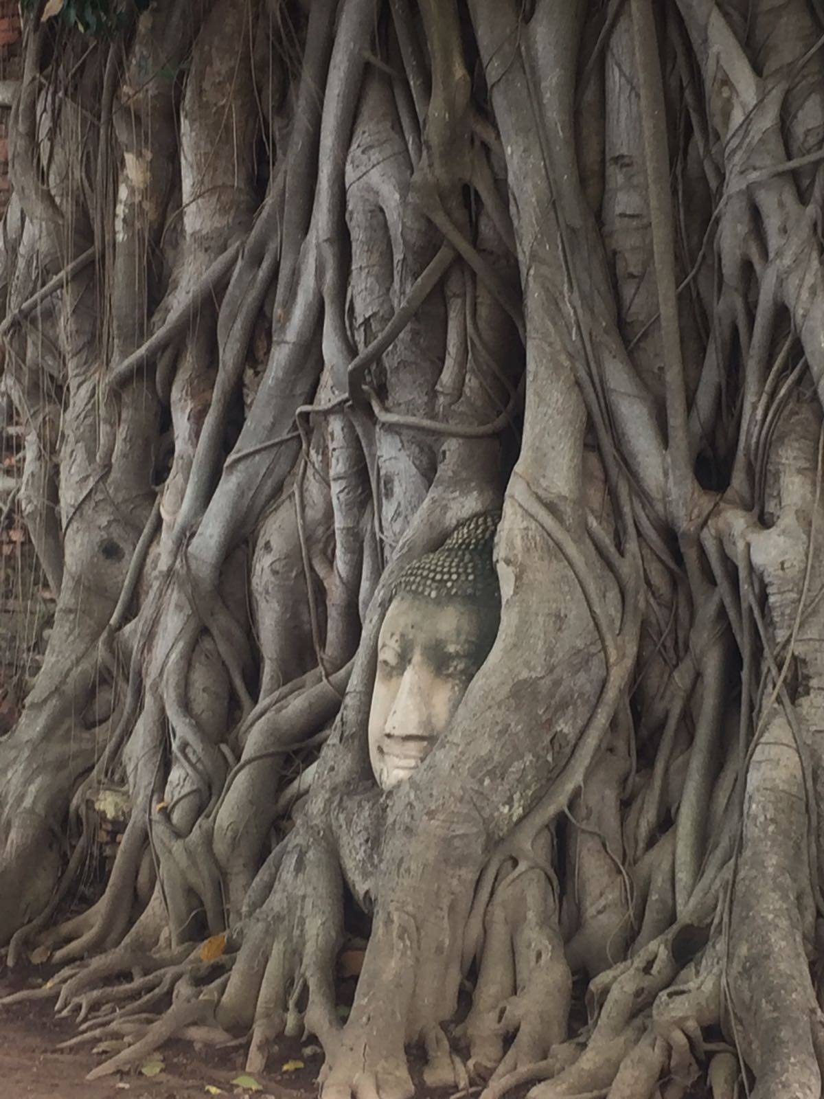 星程旅遊獨家優惠｜日本、韓國、泰國  - 活動門票/套票/一天團 (團號:AYC-01) 大城遺址一日遊 4