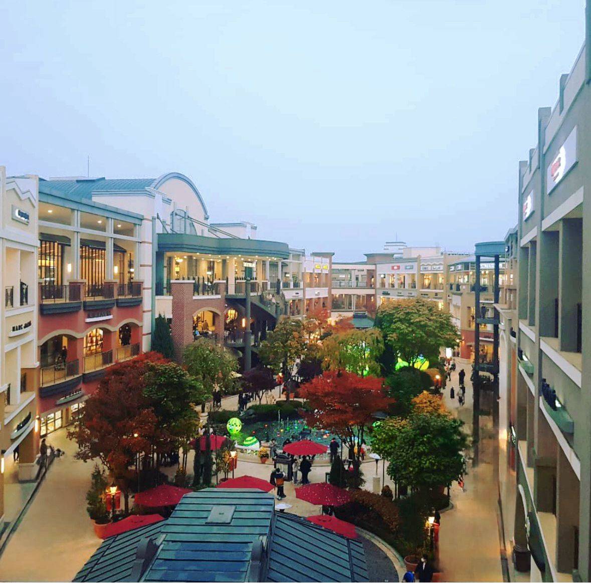 星程旅遊獨家優惠｜日本、韓國、泰國  - 活動門票/套票/一天團 (團號:CH-01) 2024 美食推廣 A 由早玩到晚美食一天團 7