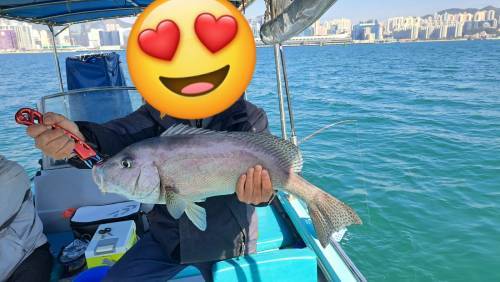 港水釣魚團 【4 人成團．將軍澳出發】🛥️積仔記釣魚樂🇭🇰港水釣魚團🐟 4